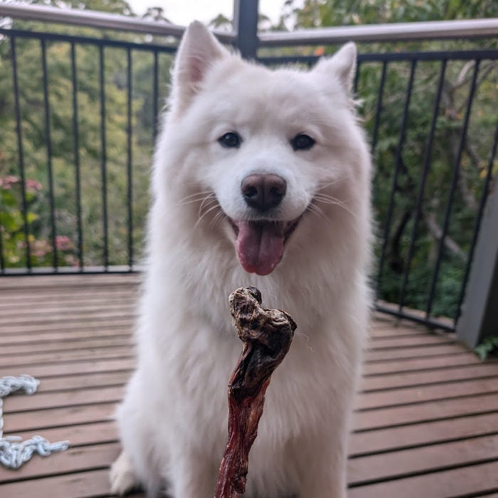 Pawfect Treats